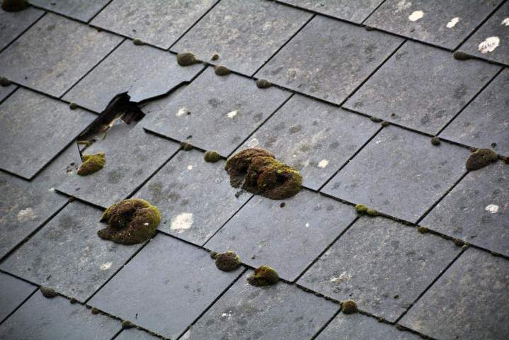 Nettoyage de toiture Gironde